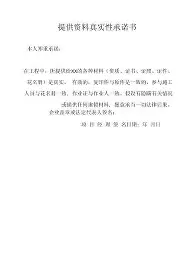 大坂直美目标并未改变结果意外的简单介绍|GFG气体检测仪官网